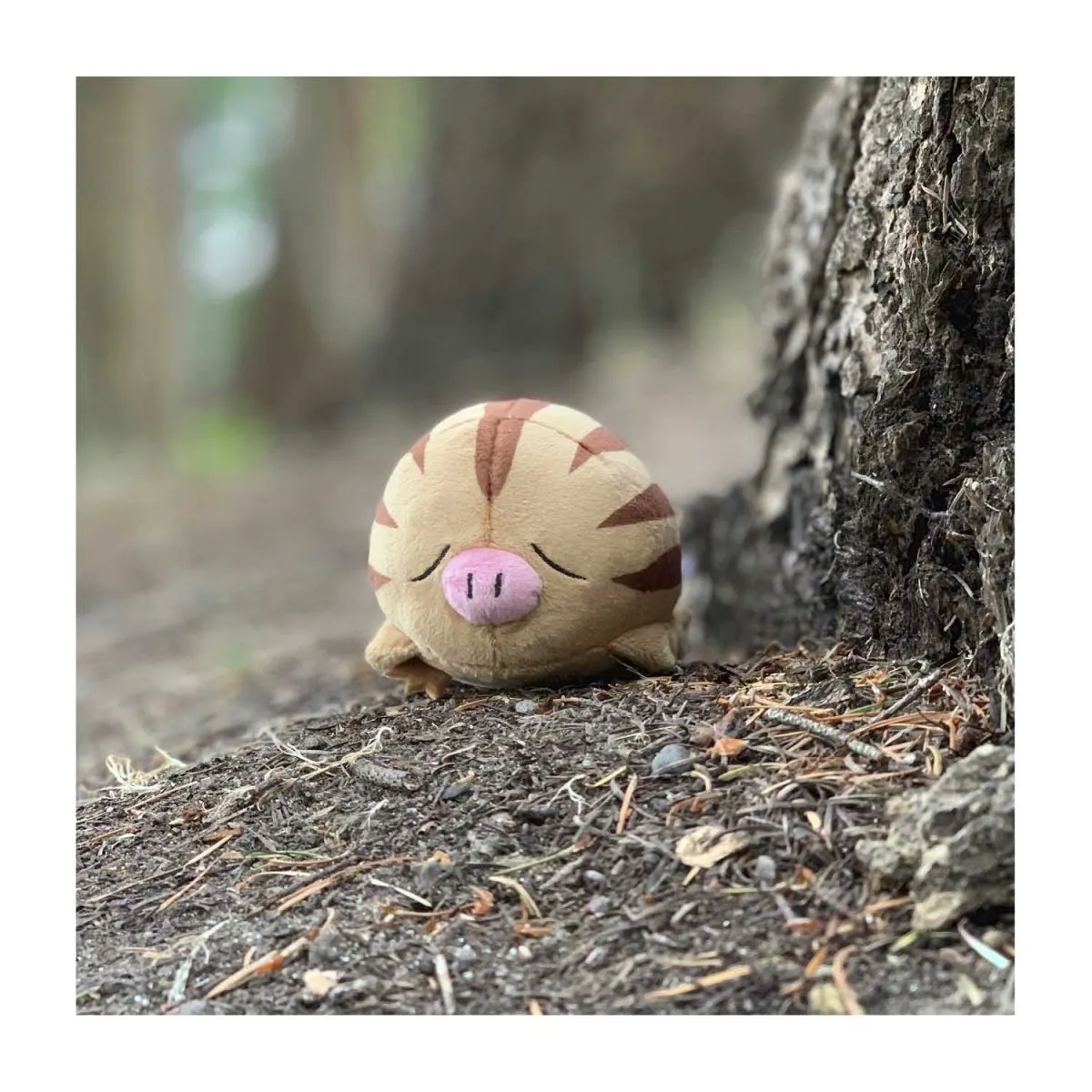 Swinub Sitting Cuties Plush – 5 ¼ In.